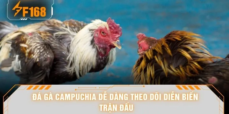 Đá Gà Campuchia - “Bùng Nổ” 108 Pha Ra Đòn Khi Lên Cao Trào 5 Đá gà Campuchia dễ dàng theo dõi diễn biến trận đấu