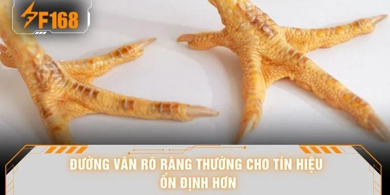 Cách Xem Chân Gà - Nhìn Phát Biết Ngay 10 Dáng Chân Cực Gắt 6 Đường vân rõ ràng thường cho tín hiệu ổn định hơn
