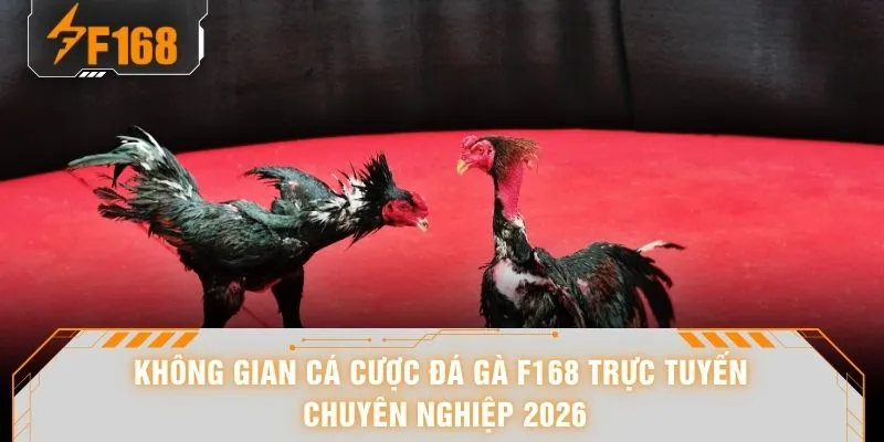 Đá Gà F168 - Xem Hùng Kê Đại Chiến Đến Nghẹt Thở 2026 5 Không gian cá cược đá gà F168 trực tuyến chuyên nghiệp 2026